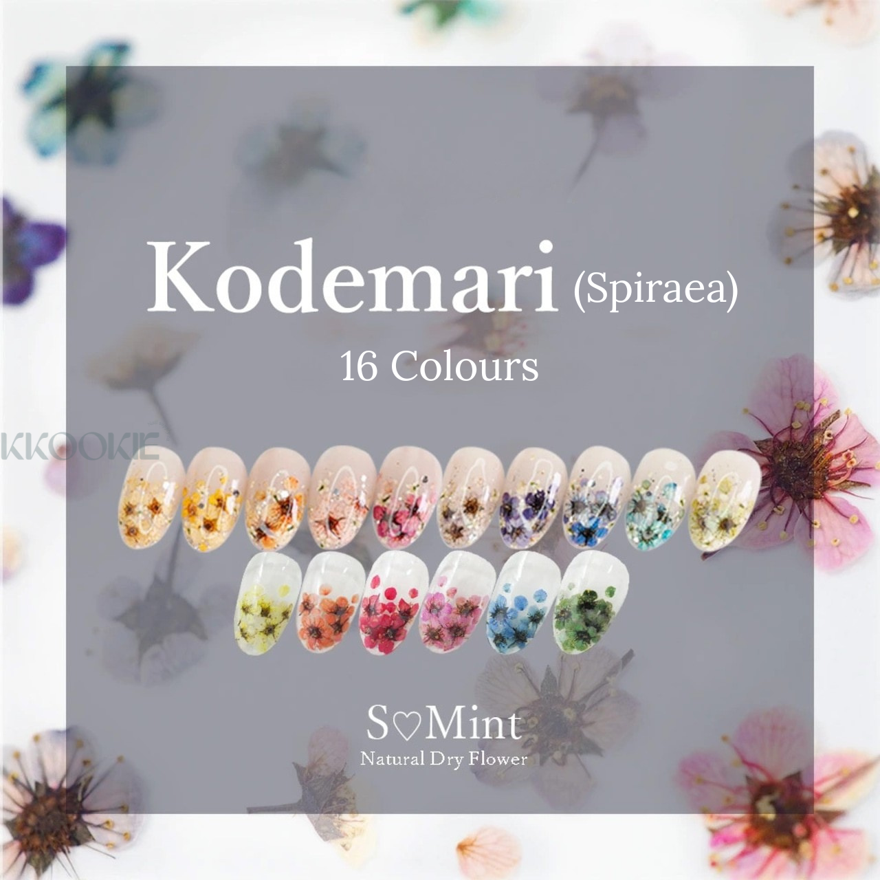 S Mint - Kodemari Spiraea (16 colours)
