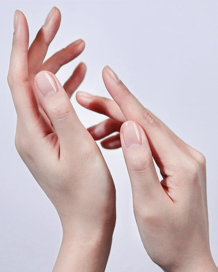 DVOK - Essential Base