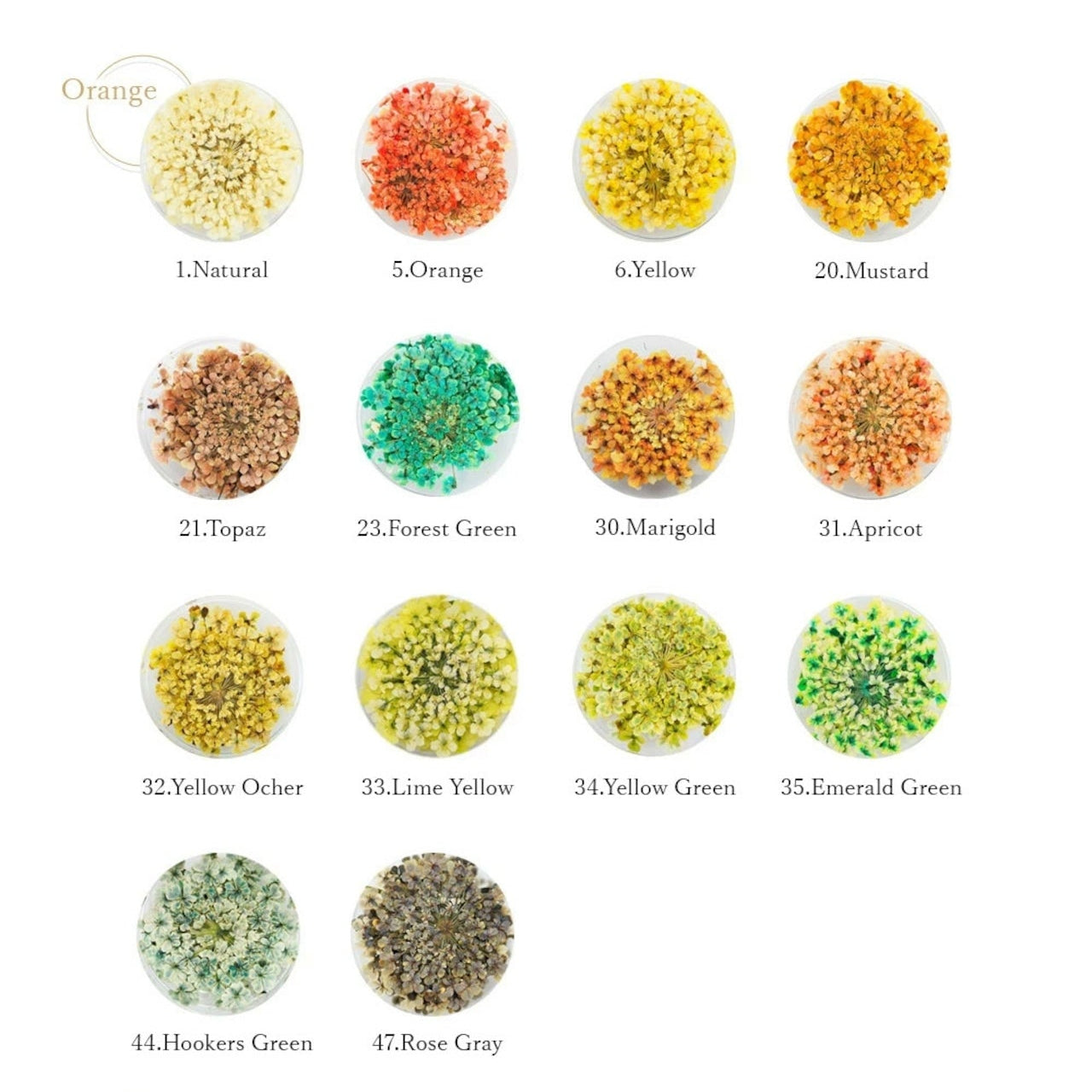 S Mint - Lace Flower -Orange- (14 colours)