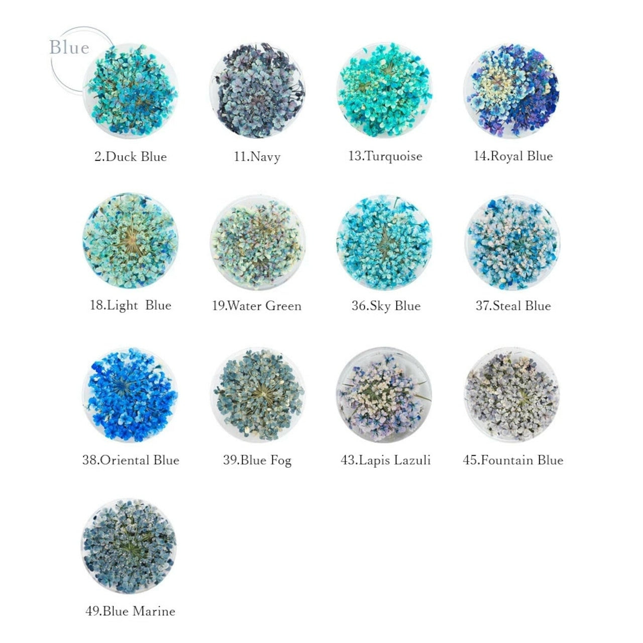 S Mint - Lace Flower -Blue- (13 colours)