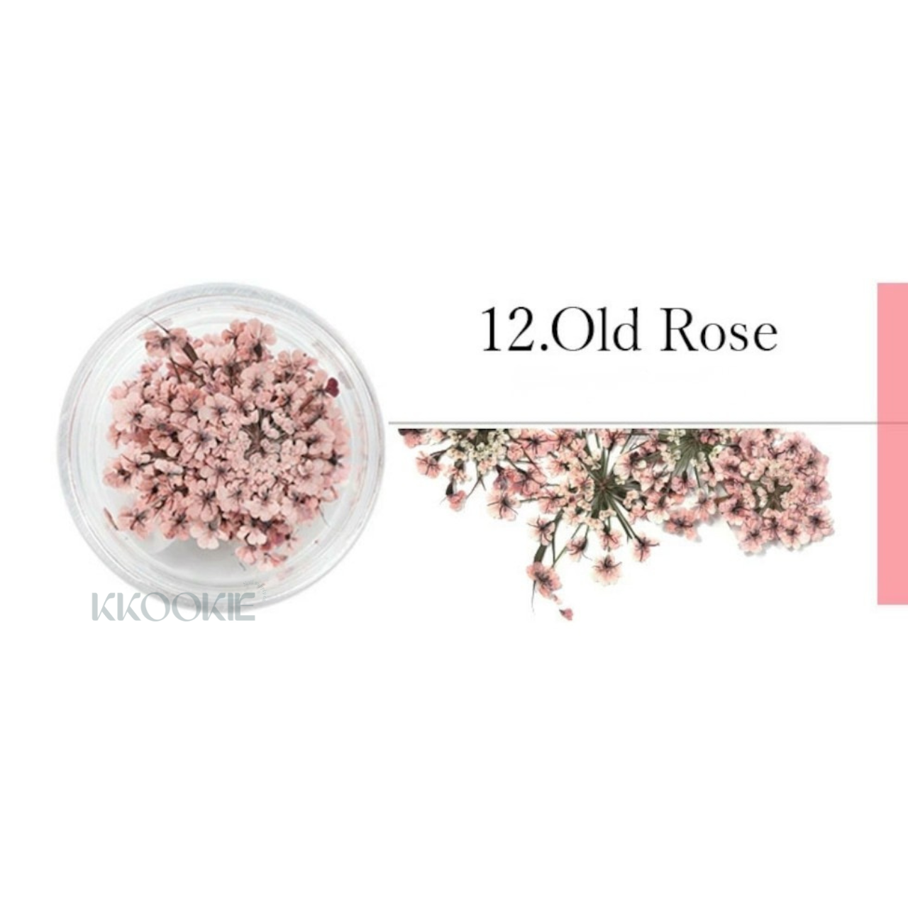 S Mint - Lace Flower -Pink- (12 colours)