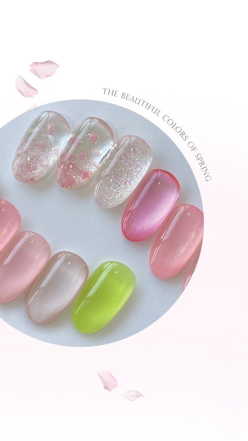 Dvok - Cherry Blossom Collection