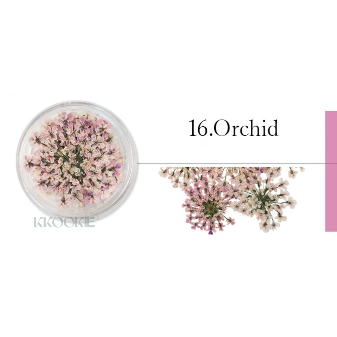 S Mint - Lace Flower -Purple- (10 colours)
