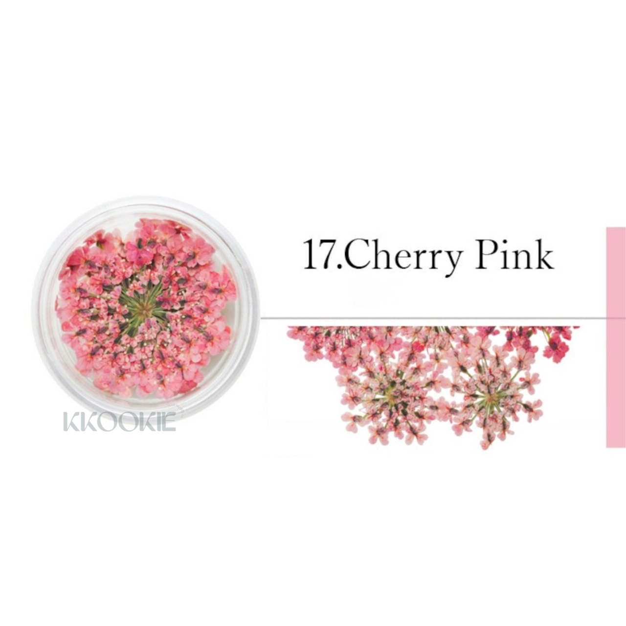 S Mint - Lace Flower -Pink- (12 colours)