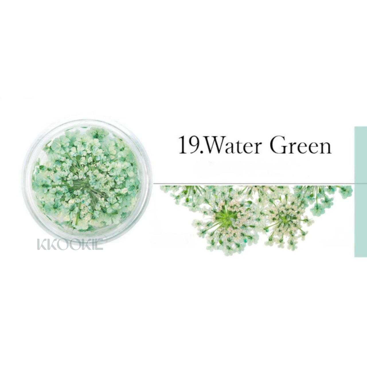S Mint - Lace Flower -Blue- (13 colours)