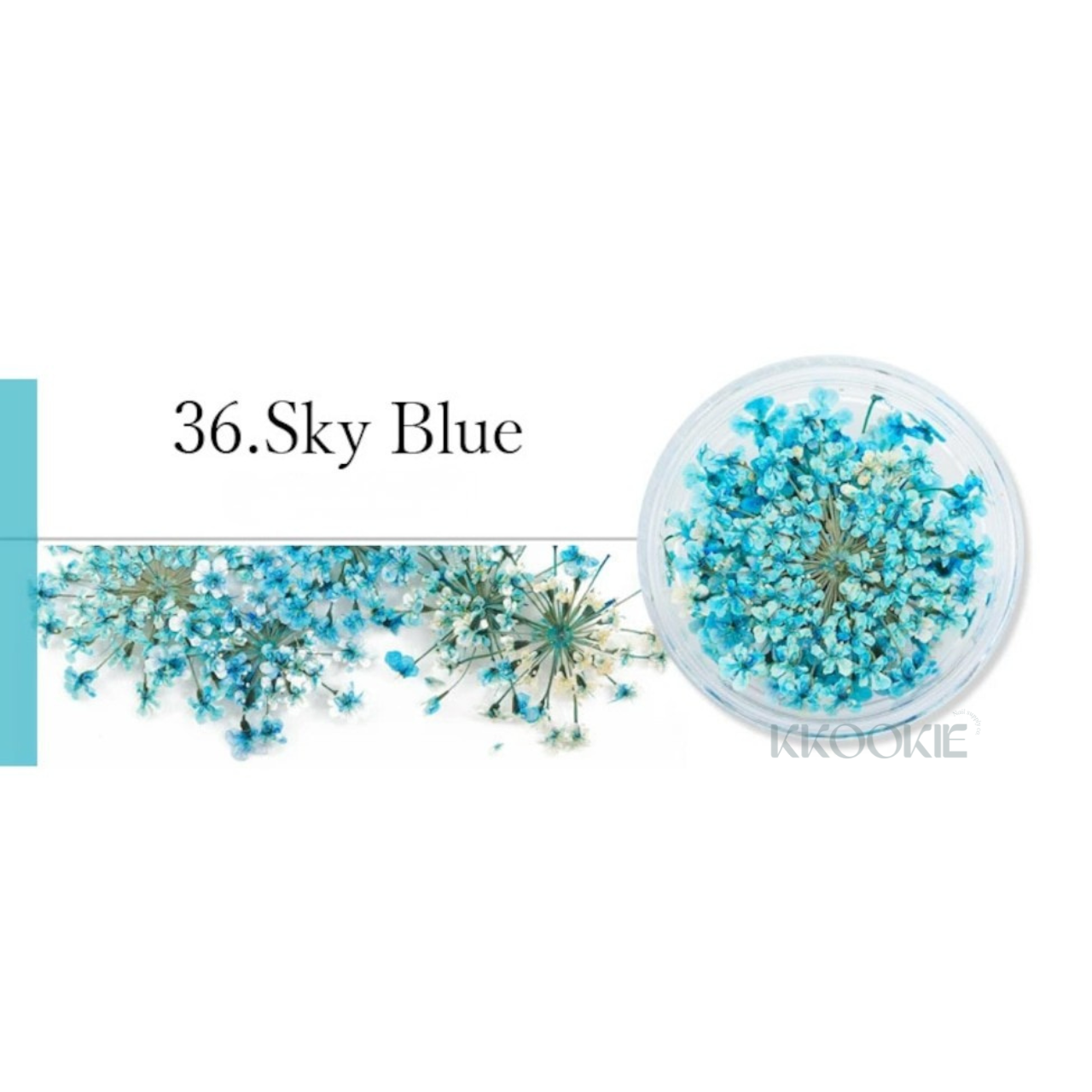 S Mint - Lace Flower -Blue- (13 colours)