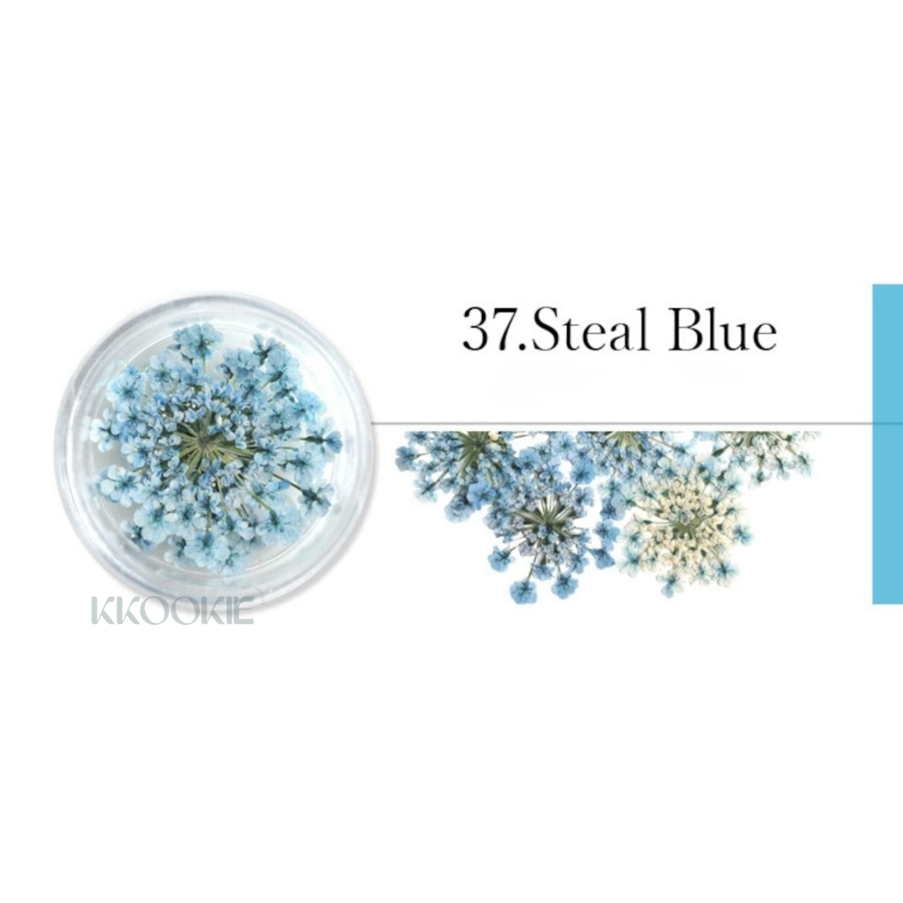 S Mint - Lace Flower -Blue- (13 colours)