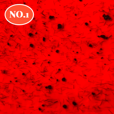 Yogo Mayo - Butter Syrup Collection (Individuals/Full set)