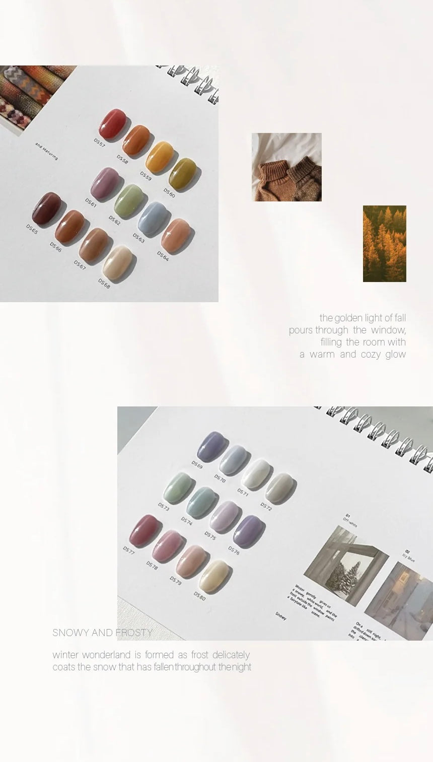 Dvok - Four Seasons Collection