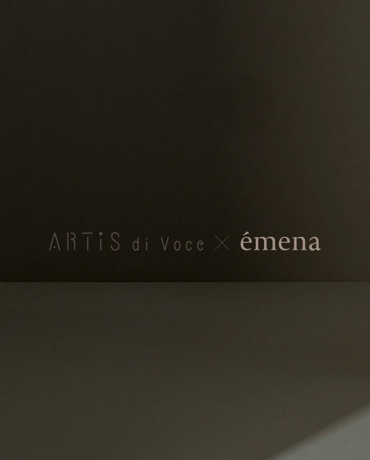 Emena - Artis di Voce x Emena Magnety Flash Gel (6 colours)