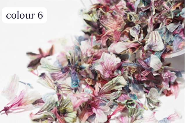 S Mint - Hanabira -colour series- (6 colours)