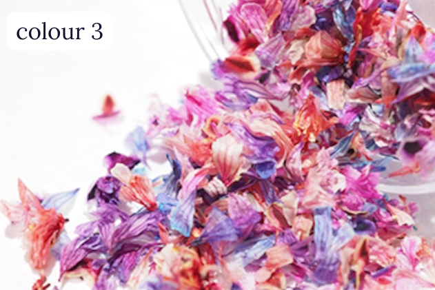 S Mint - Hanabira -colour series- (6 colours)