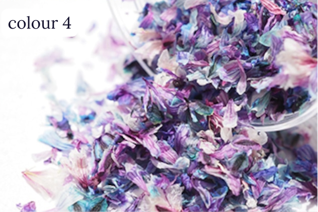 S Mint - Hanabira -colour series- (6 colours)