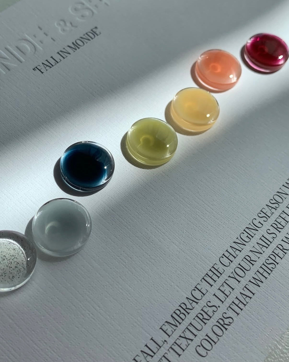 Seed - Monde Collection