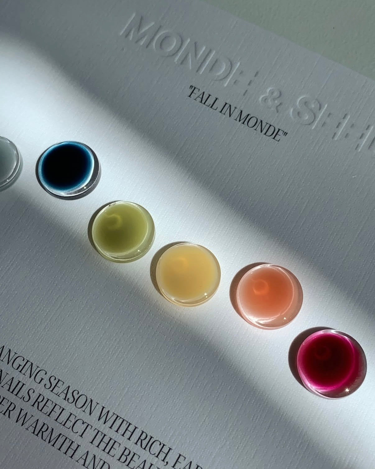 Seed - Monde Collection