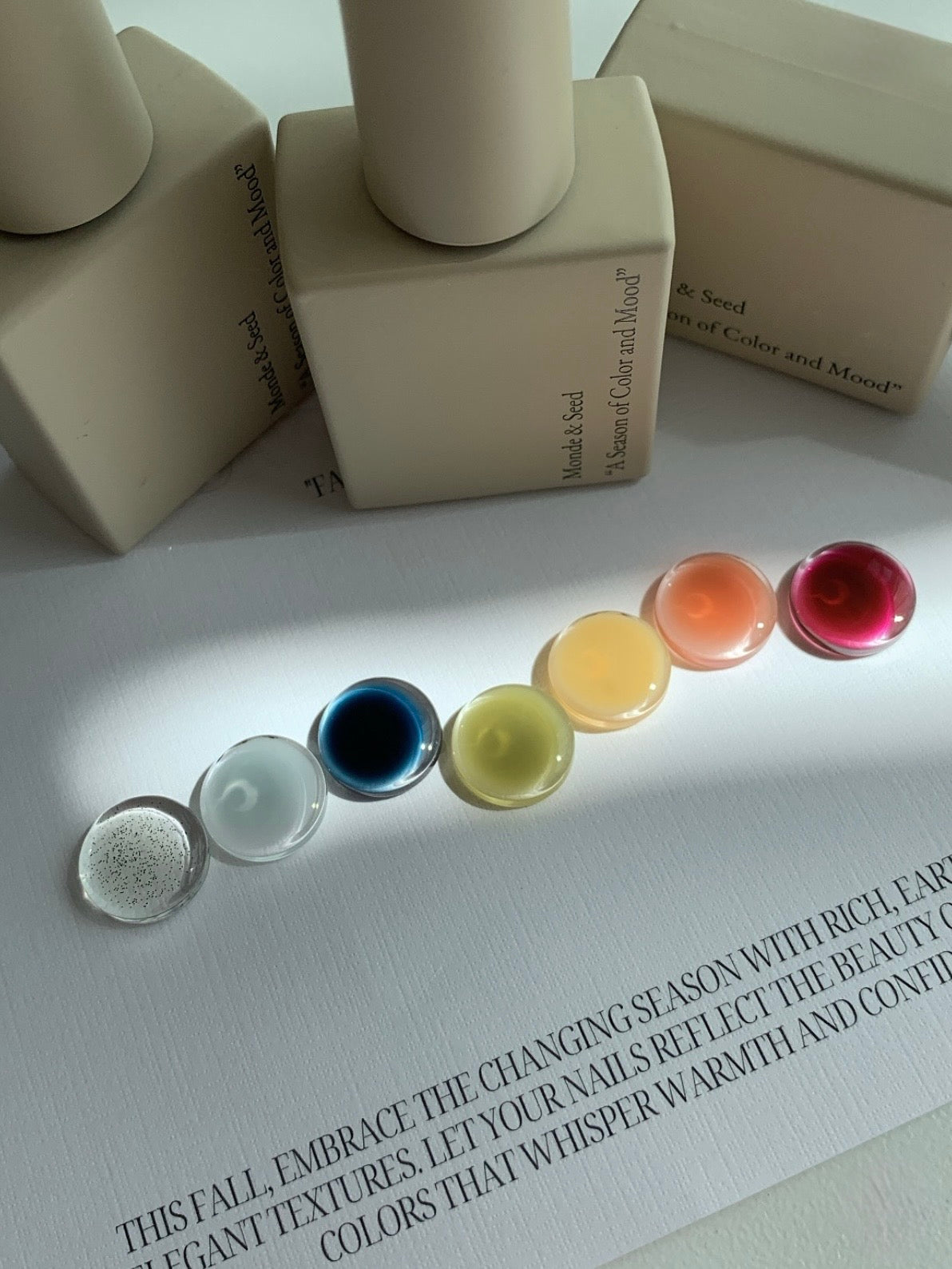 Seed - Monde Collection