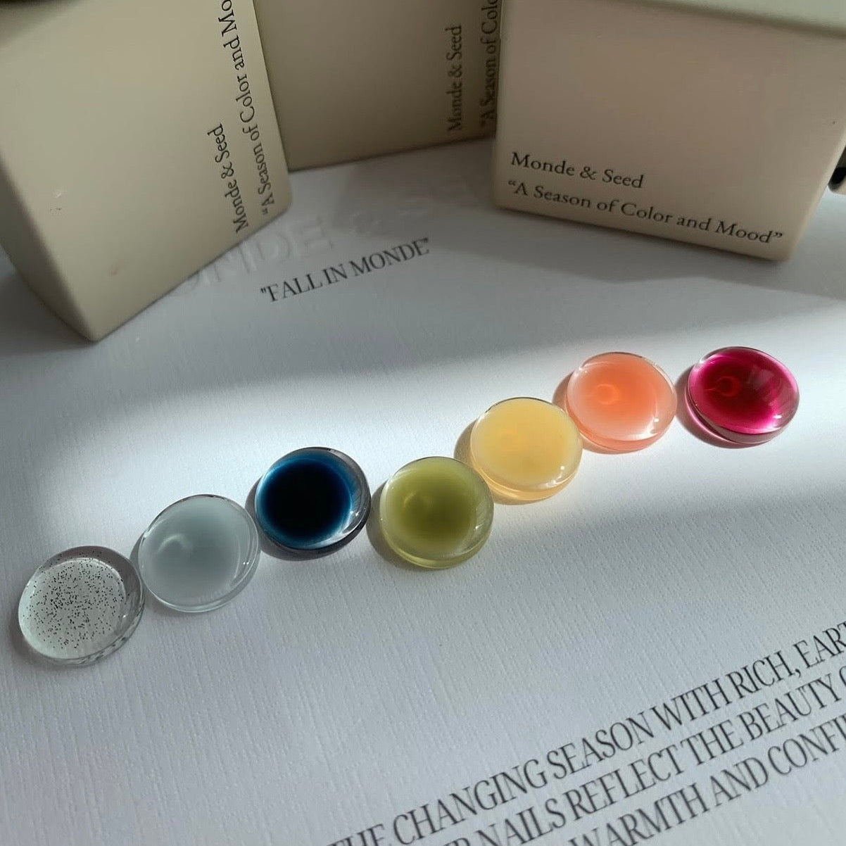 Seed - Monde Collection