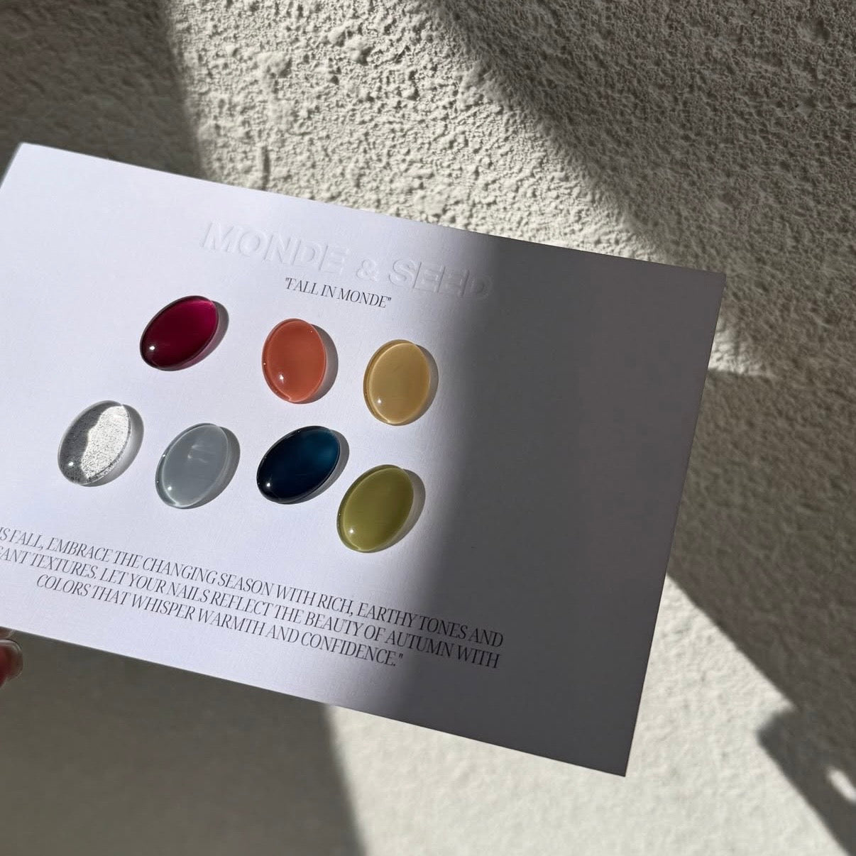 Seed - Monde Collection