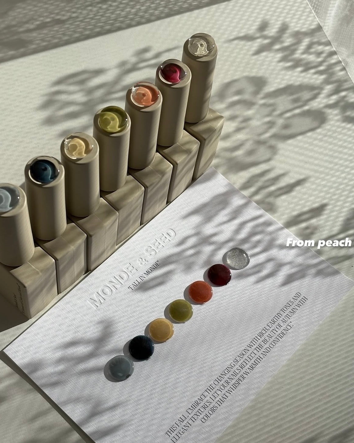 Seed - Monde Collection