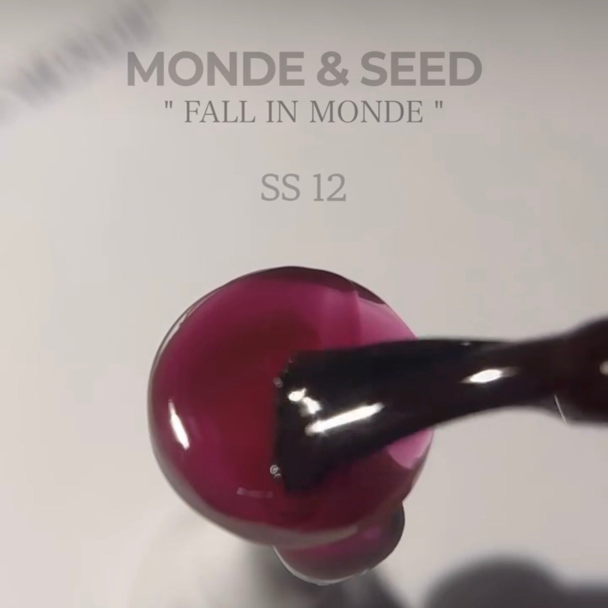 Seed - Monde Collection