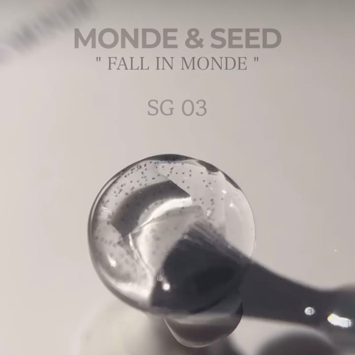 Seed - Monde Collection