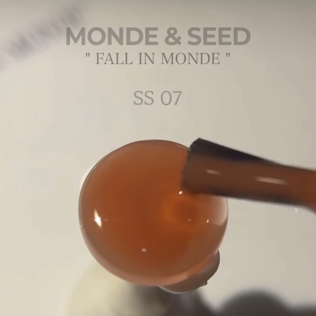 Seed - Monde Collection