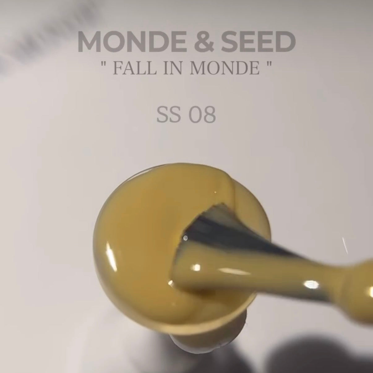 Seed - Monde Collection