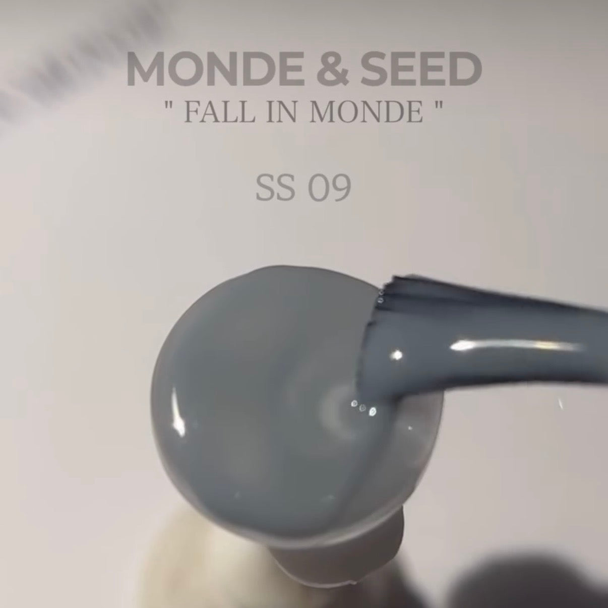 Seed - Monde Collection