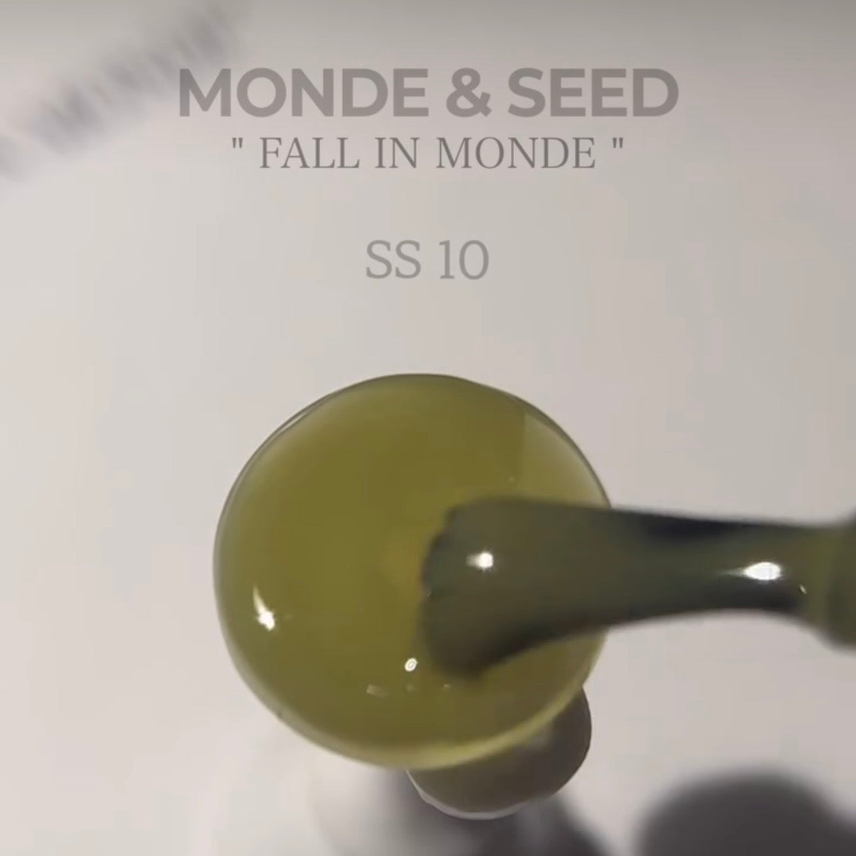 Seed - Monde Collection