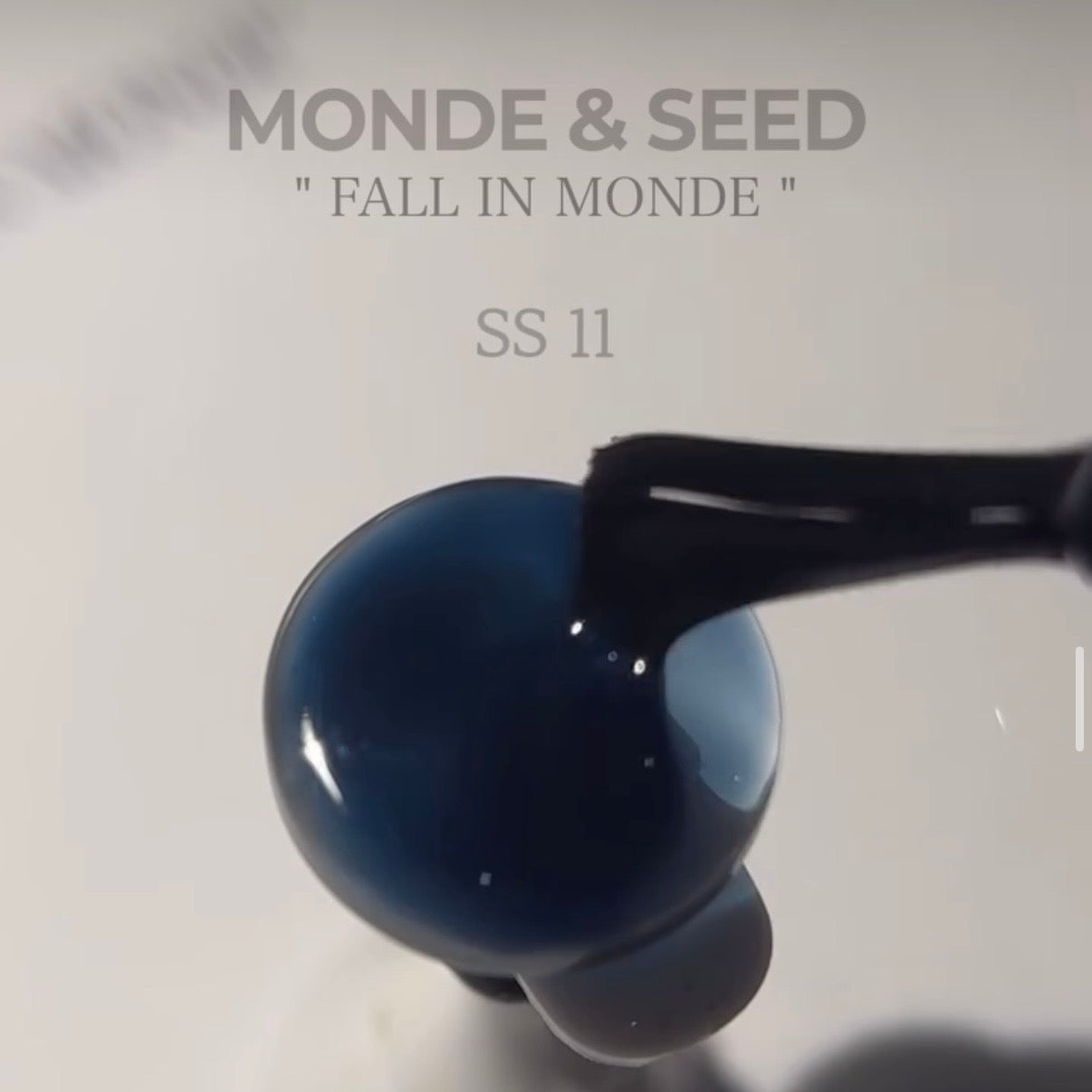 Seed - Monde Collection