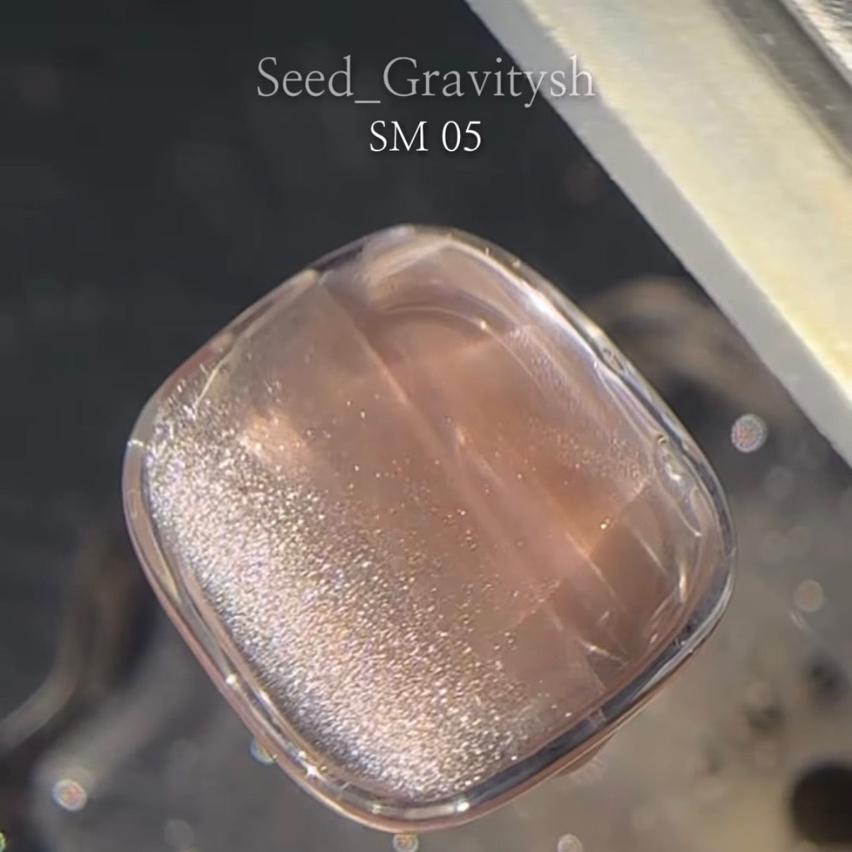 Seed - Gravitysh Collection