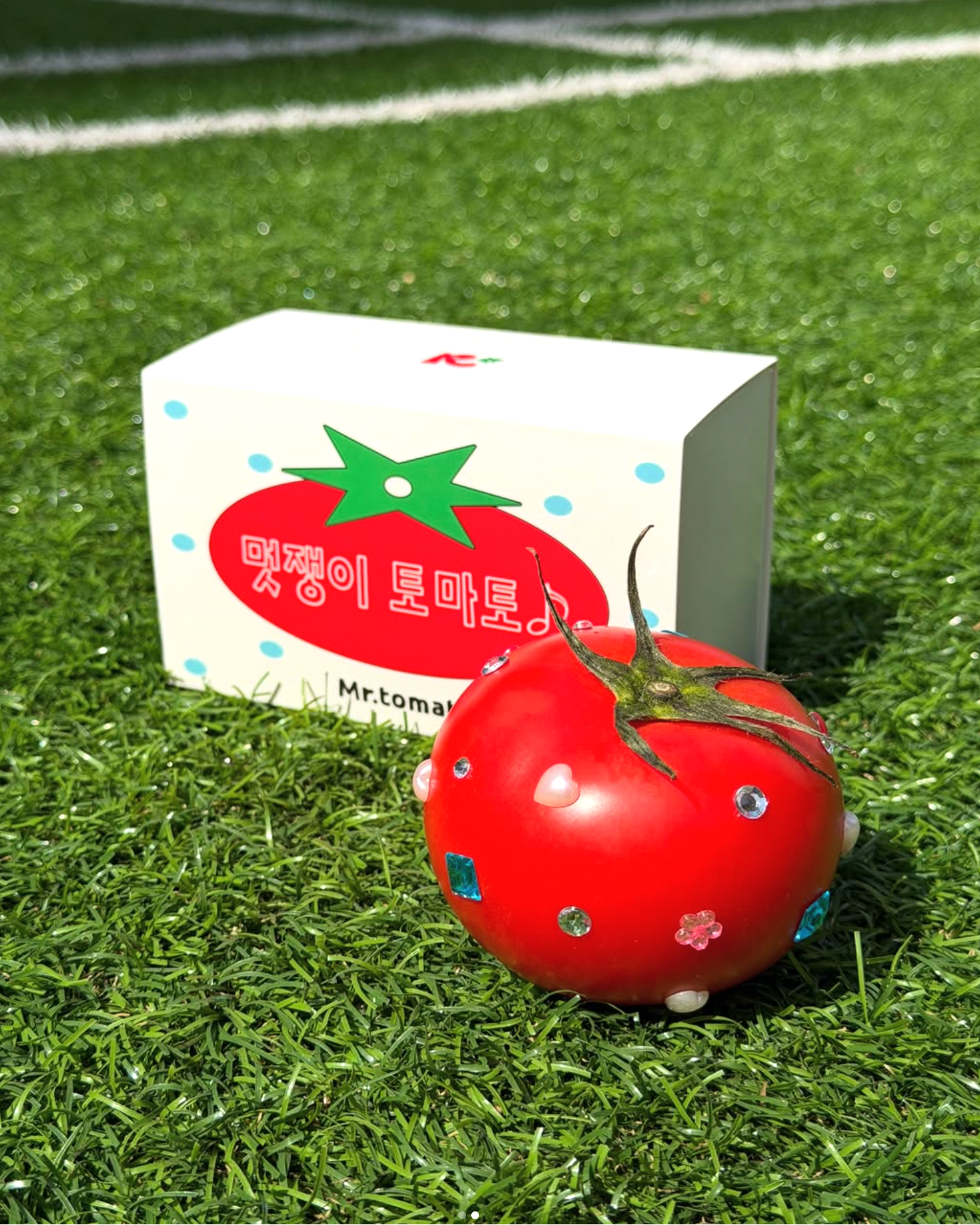 RORO - Mr. Tomato Ink Collection