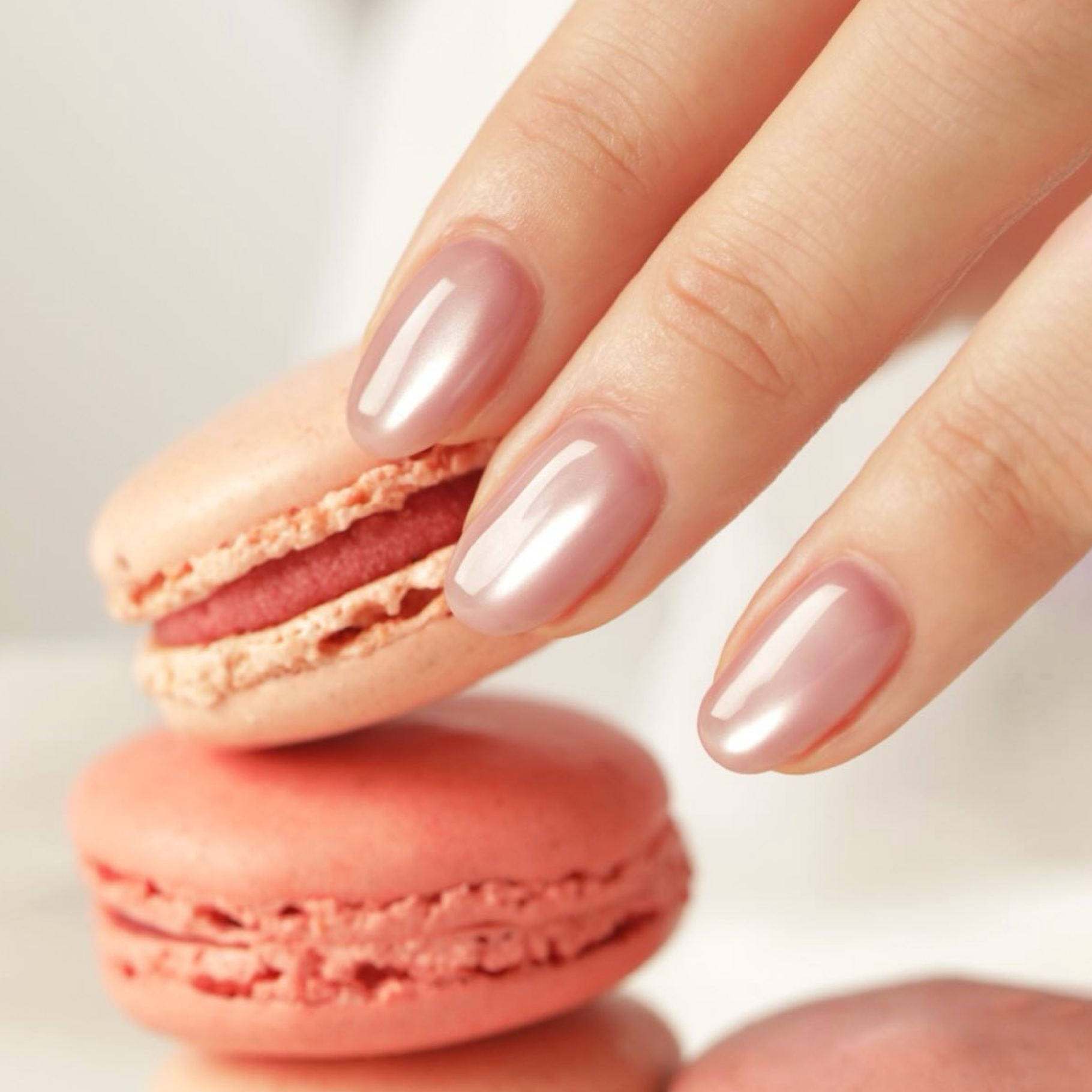 enoi - Macaroon Magnet mg230-234