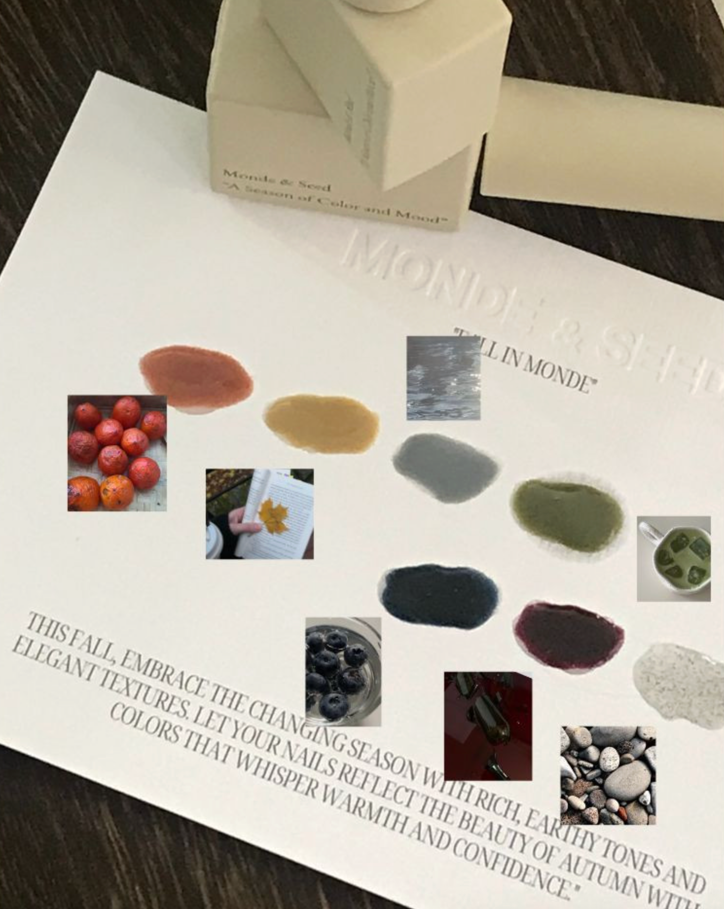 Seed - Monde Collection