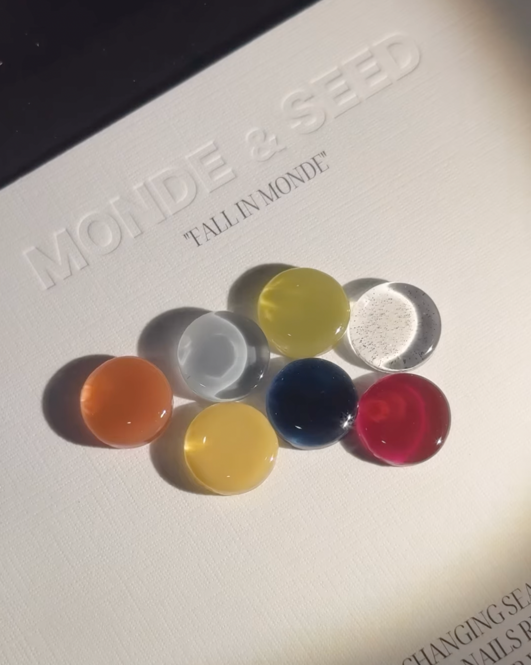 Seed - Monde Collection