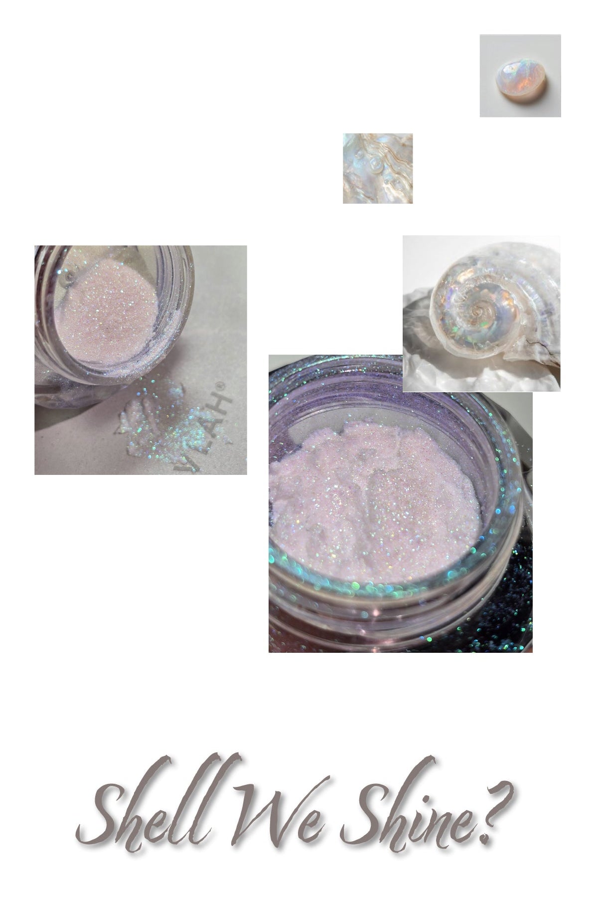 BEVLAH - Shell We Shine Powder BP02