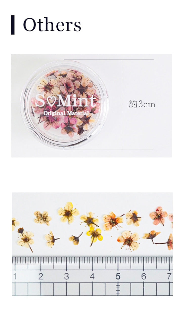 S Mint - Kodemari Spiraea (16 colours)