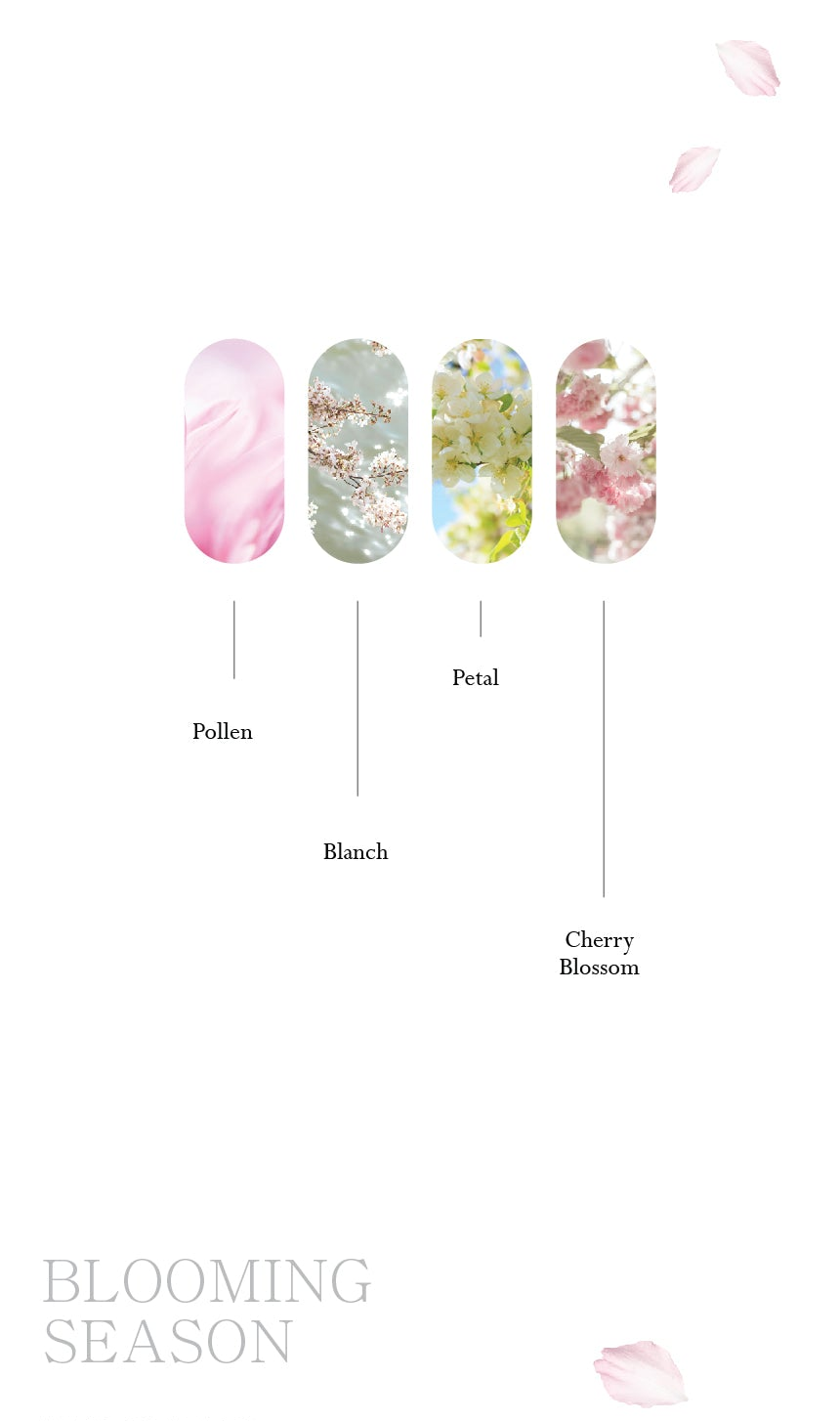 Dvok - Cherry Blossom Collection
