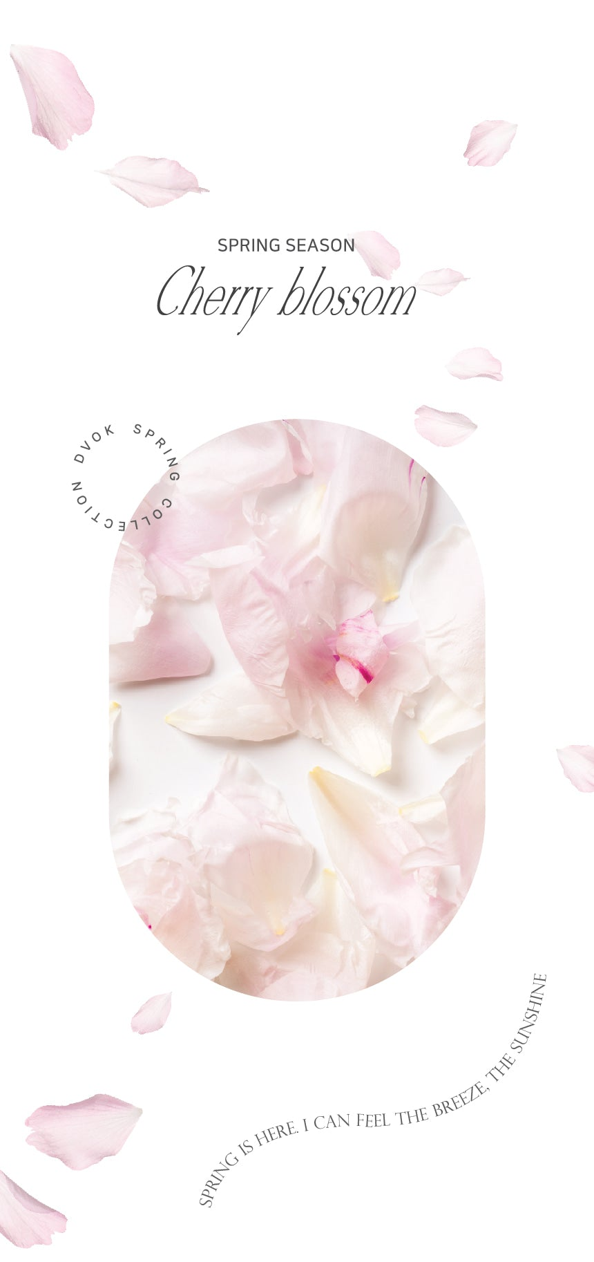 Dvok - Cherry Blossom Collection