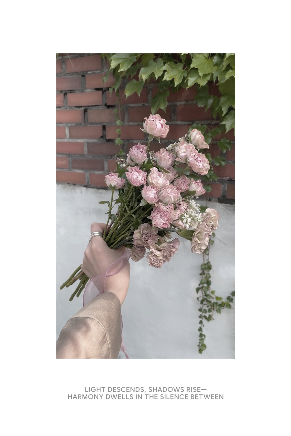 DVOK - Quietcore Collection (Preorder)