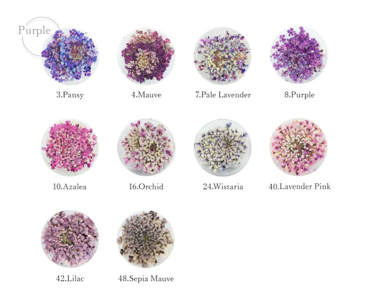 S Mint - Lace Flower -Purple- (10 colours)