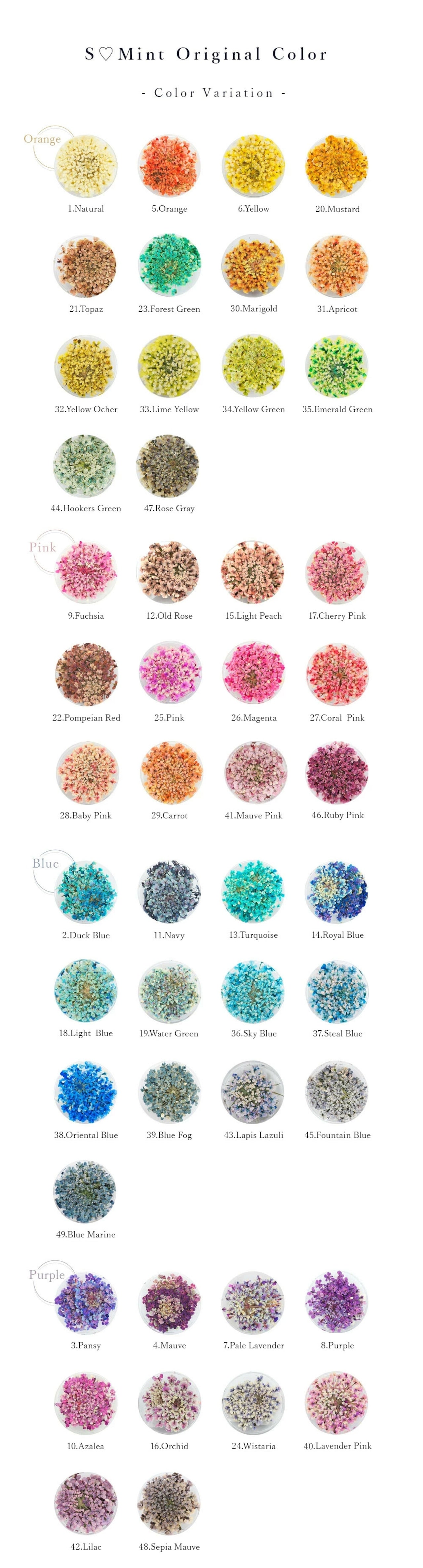 S Mint - Lace Flower -Blue- (13 colours)