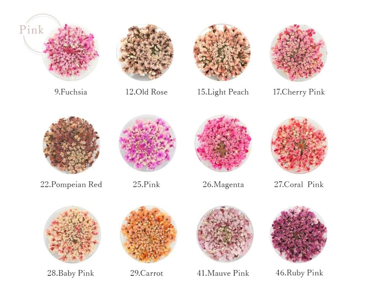 S Mint - Lace Flower -Pink- (12 colours)