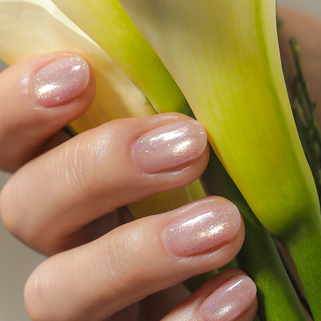 Enoi - Jewel Mag mg210-219