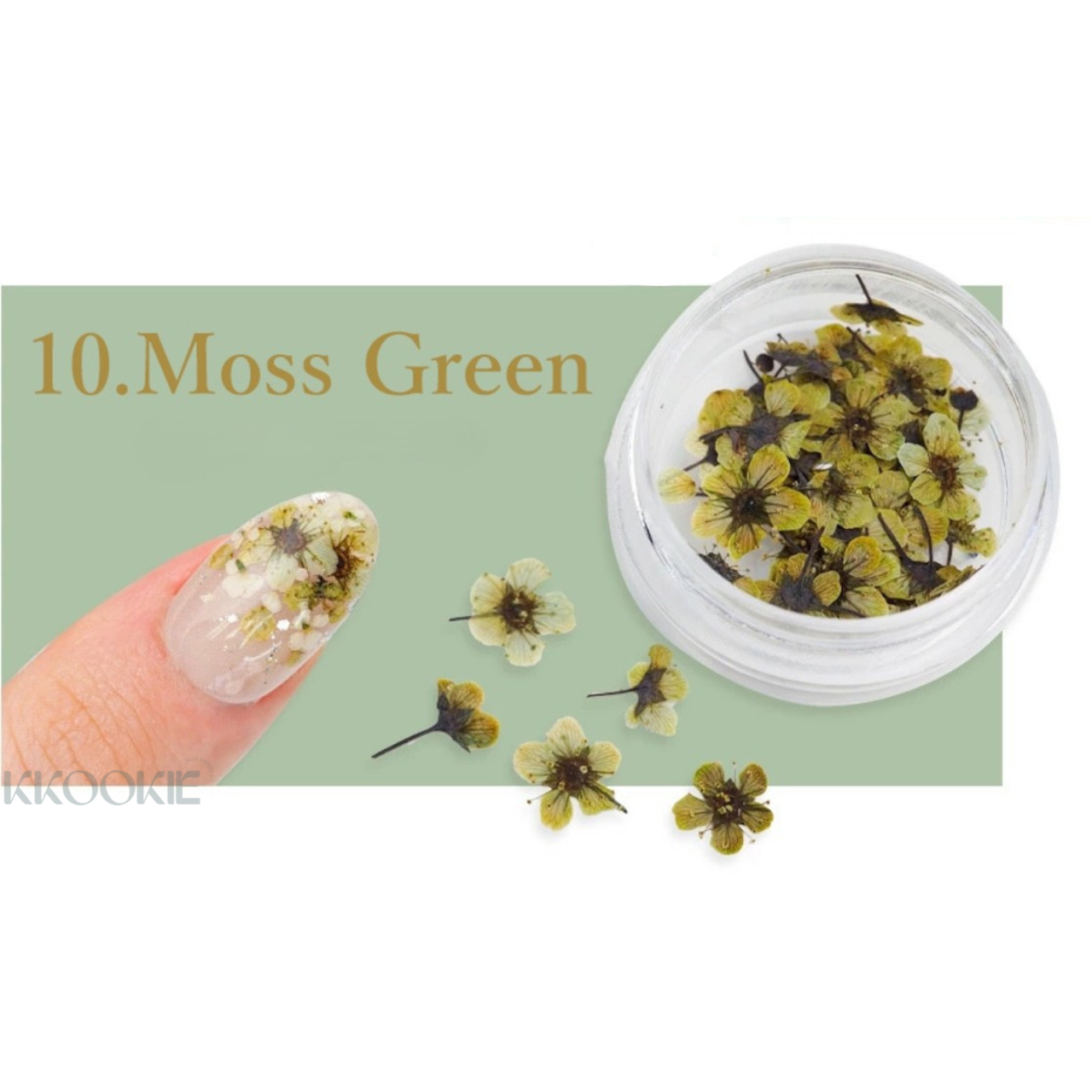 S Mint - Kodemari Spiraea (16 colours)