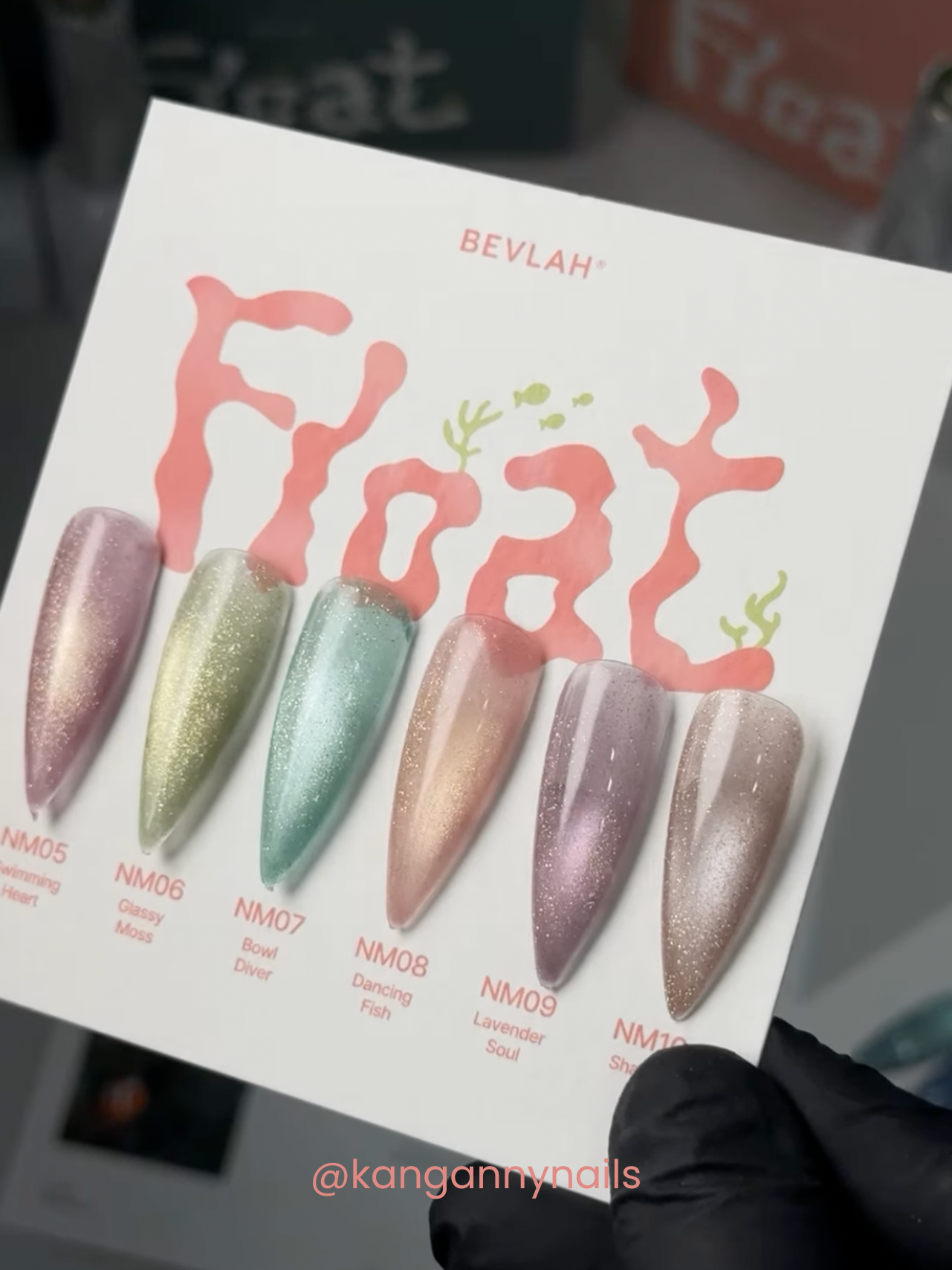 BEVLAH - Float: Day & Dream Collection