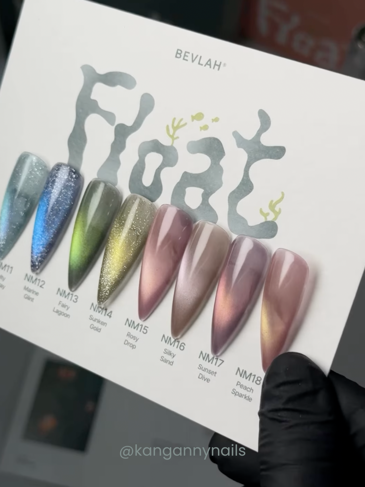 BEVLAH - Float: Day & Dream Collection