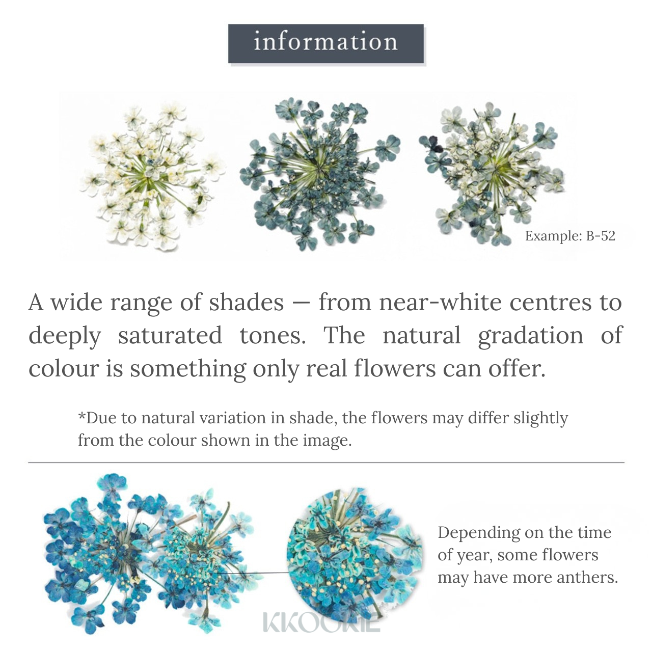 S Mint - Lace Flower -Blue- (13 colours)